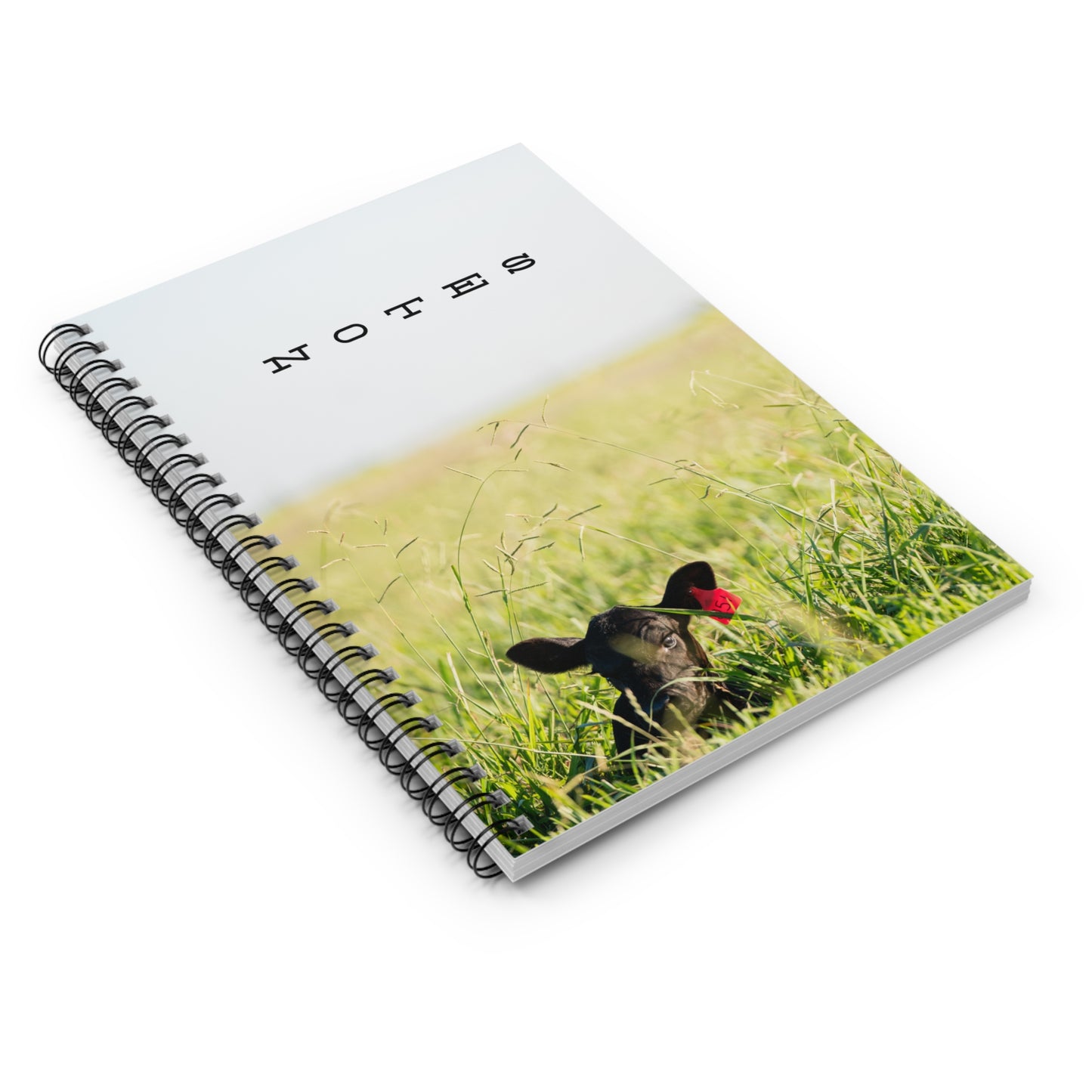 Spiral Notebook - Ruled Line